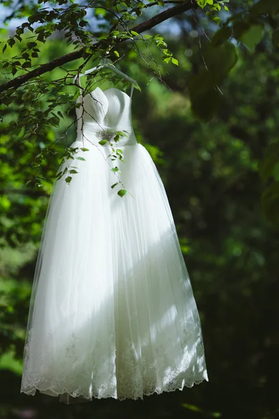 Svatební šaty visící na stromě — Stock fotografie