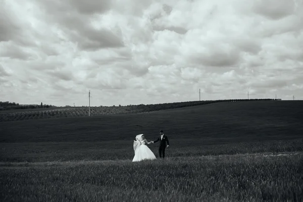 Beautiful wedding couple on nature — Stock Photo, Image