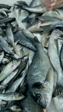 Pomfret ve sardalya ile buzda küçük gümüş balık yığınları, yoğun sığlık sunumu, parıldayan gözler ve pullar, düşük maliyetli taze