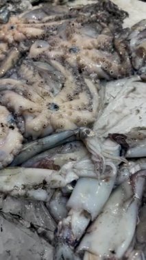 Küçük gümüş balıklar ve mürekkep balıkları ezilmiş buz üzerinde parlayan gözler ve dokunaçlar üzerinde toplandılar.