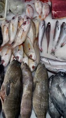 Küçük balık ve fileto yığınları, daha büyük ton balıklarının yanında dağınık gümüş balık sürüleri, ticari tedarik havası.