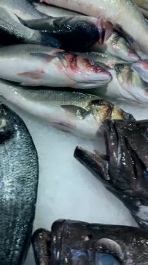 Buz üstünde küçük pelajik balık yığını, market ışıklarının altında parıldayan gümüş bedenler, arka planda satıcı kutuları ve sandıklar.,