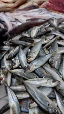 Taze balık deniz kabuğu ve uskumru ile istiflenmiş taze balık, parlak pullar, yakın dokular, et üzerinde soğuk yoğunlaşma, toptancılık.