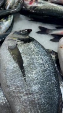 Üniforma sıraları, gümüşi bütün balıklar ezilmiş buzlu market tezgahında, satıcı hizasında, desenli pullar ve profesyonel