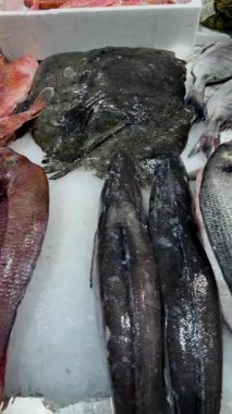 Buz üzerinde taze balık ve yumurta, ezilmiş buz üzerinde büyük levrek ve pomfret, yuvarlak ve sarılmış yılan balığı yakın dokulu pullar