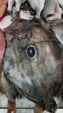 Büyük resif balıkları ve yumurta yığınları buz spesiyali tezgahlarında pomfretvari balıkları, sakatat yığınlarını, şef tedarikçi sahnesini, prim miktarını gösteriyor.