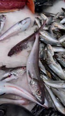 Morina, hake ve snapper ile buzda çeşitli beyaz balıklar görünür kırmızı gözler ve dokulu ten, soğuk toptan satış tezgahı, aşçılık