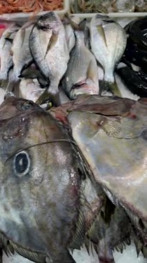 Buzda büyük balık ve yılan balıkları, gümüş kenarlı uzun gövdeli orfoz ve morina balığı, toptan alıcılar için istiflenmiş tepsiler, dengesiz