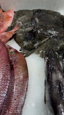 Taze büyük balık ve yassı türler ezilmiş buz şefi denetleme titreşimi, nemli pullar, toptan satış seçimi ve desenli.