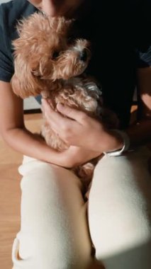 Asyalı bir kadın kucağında köpek yavrusu, sıcak bir ışık, koruyucu bir kucaklama, nazik bir okşama ve yumuşak bir çene burnu, gevşemiş bir iç çene.