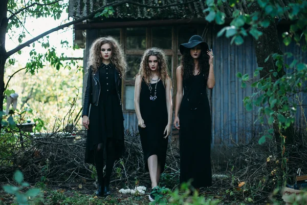 Three vintage witch go to the Sabbat — Stock Photo, Image