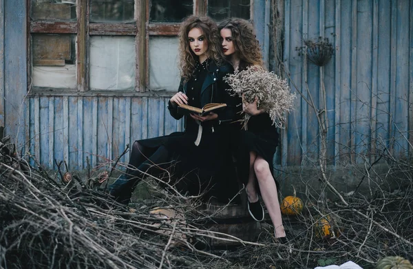 Duas bruxas vintage reuniram véspera de Halloween — Fotografia de Stock