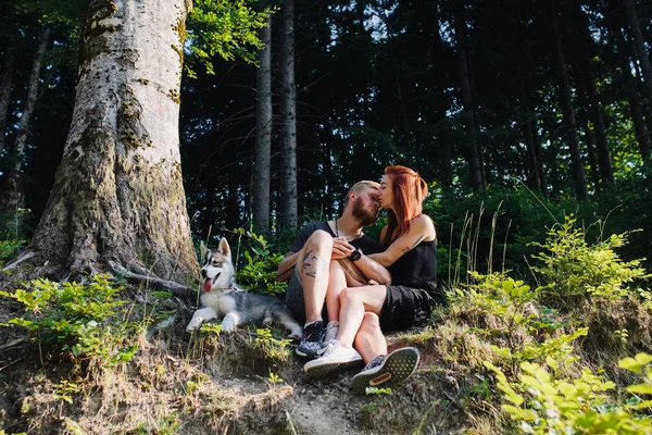 Nádherný pár sedí v lese poblíž stromu — Stock fotografie