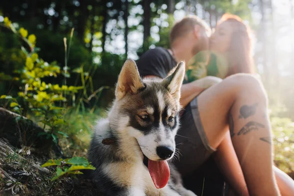 Hermosa pareja descansando en el bosque — Foto de Stock