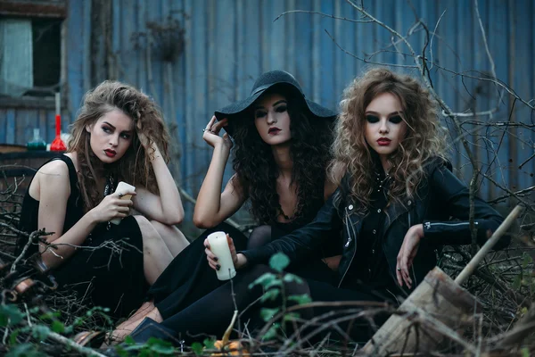 Üç vintage Cadılar Sabbat için toplandı — Stok fotoğraf
