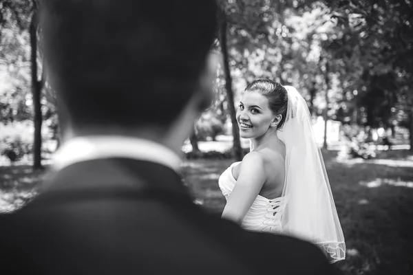 Bröllop par promenader i parken — Stockfoto