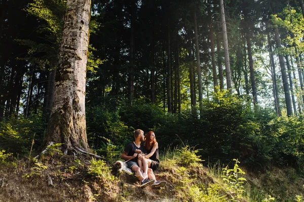 Belo casal sentado em uma floresta perto da árvore — Fotografia de Stock