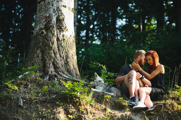 Το όμορφο ζευγάρι συνεδρίαση μέσα σε ένα δάσος κοντά στο δέντρο — Φωτογραφία Αρχείου