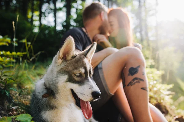 Belo casal descansando na floresta — Fotografia de Stock