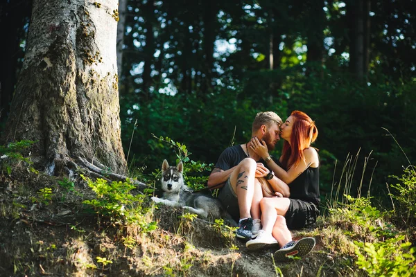 Beau couple assis dans une forêt près de l'arbre — Photo