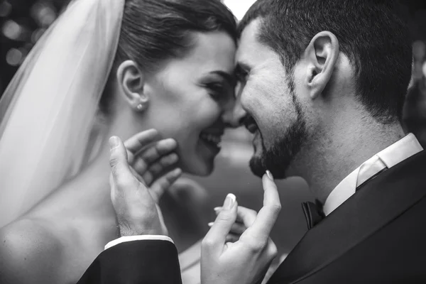 Beautiful bride caress gently, the grooms face — Stock Photo, Image