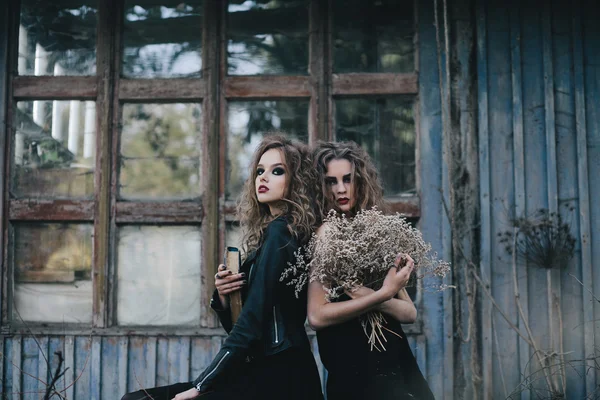 Две старинные ведьмы собрались накануне Хэллоуина — стоковое фото