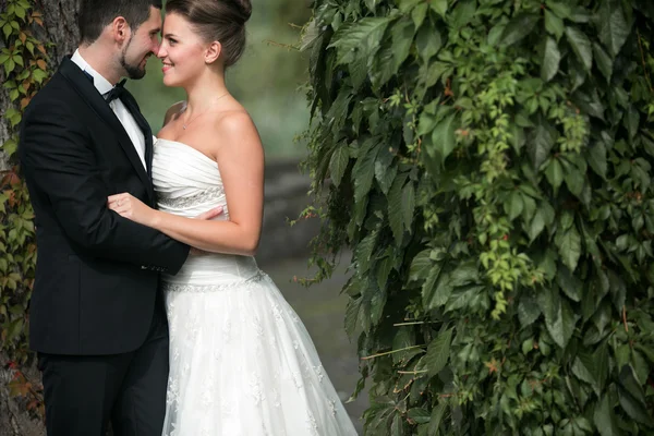 Hermosa pareja de boda posando — Foto de Stock