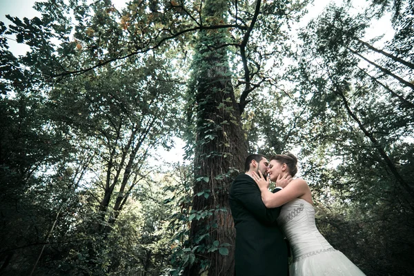 Mooie bruidspaar poseren — Stockfoto