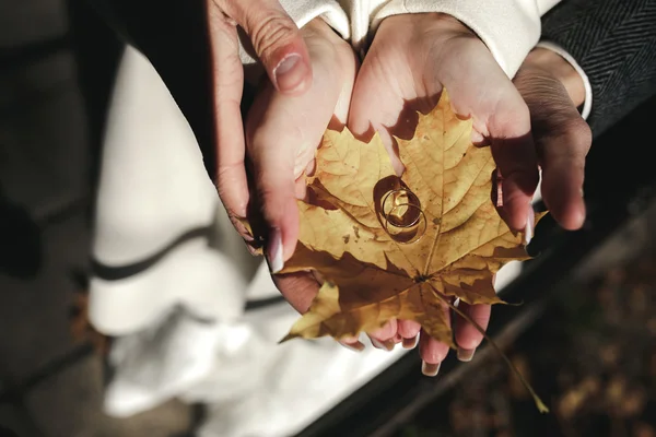 Anéis de casamento dourados — Fotografia de Stock