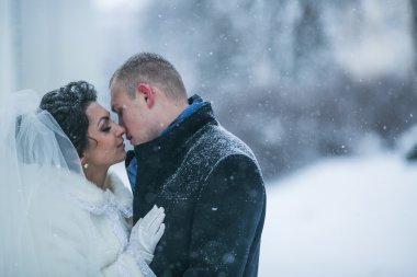 Gelin ve damat karda yürüme