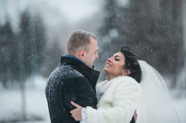 Gelin ve damat karda yürüme