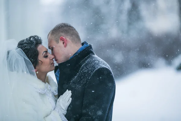 Noiva e noivo andando na neve — Fotografia de Stock