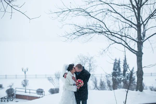 新娘和新郎在雪中行走 — 图库照片