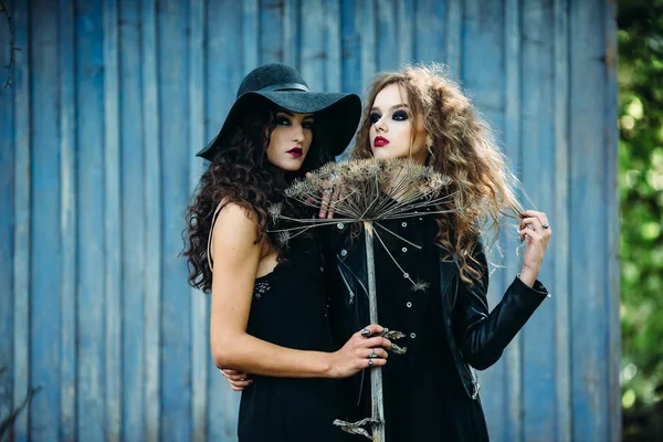 Two vintage women as witches — Stock Photo, Image