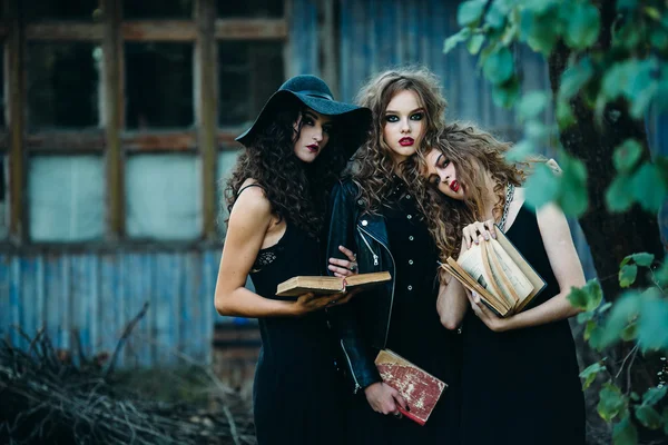 Three vintage women as witches — Stock Photo, Image