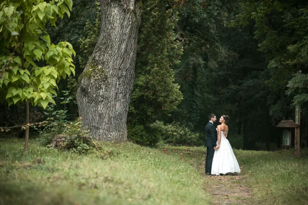 Schönes Hochzeitspaar posiert — Stockfoto