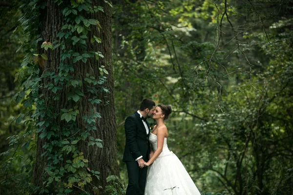 Casal lindo posando — Fotografia de Stock