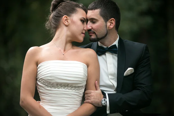 Casal lindo sentado na floresta — Fotografia de Stock