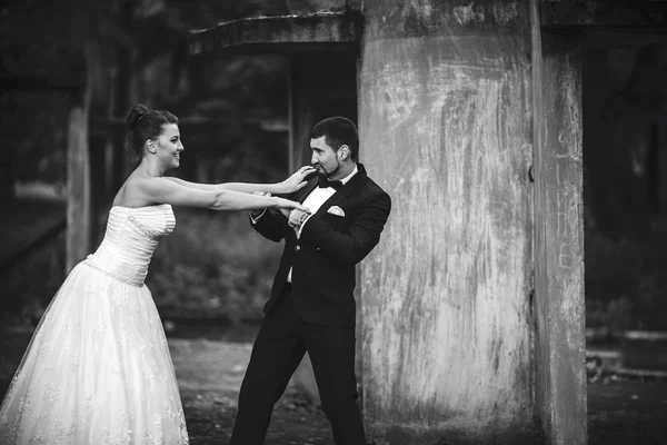 Braut und Bräutigam haben Spaß — Stockfoto