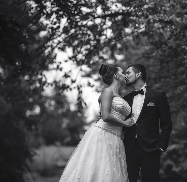 Schönes Hochzeitspaar posiert — Stockfoto