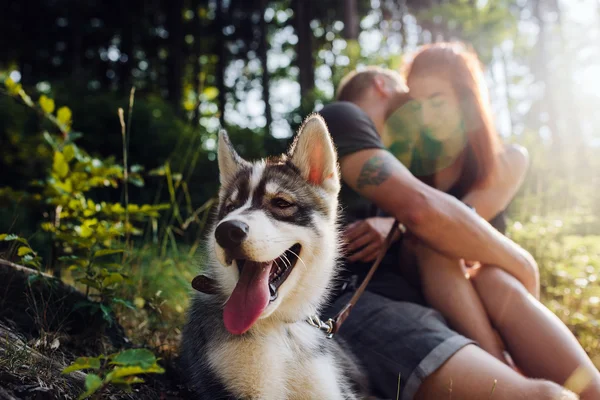 Nádherný pár odpočívá v lese — Stock fotografie