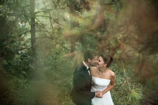 Bruid en bruidegom dansen samen in het bos — Stockfoto