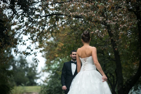 Beau couple de mariage — Photo