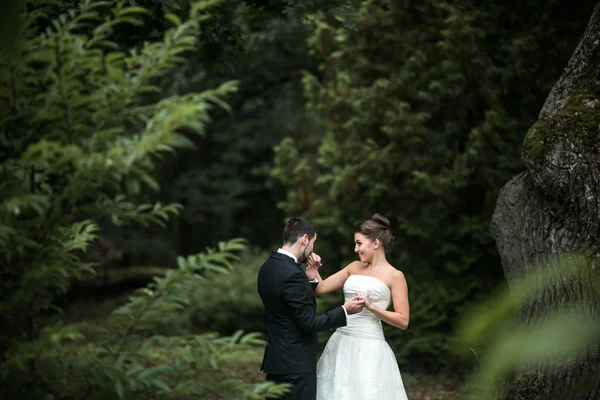 Schönes Hochzeitspaar posiert — Stockfoto