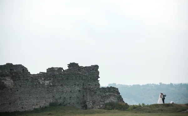 Красива весільна пара гуляє — стокове фото