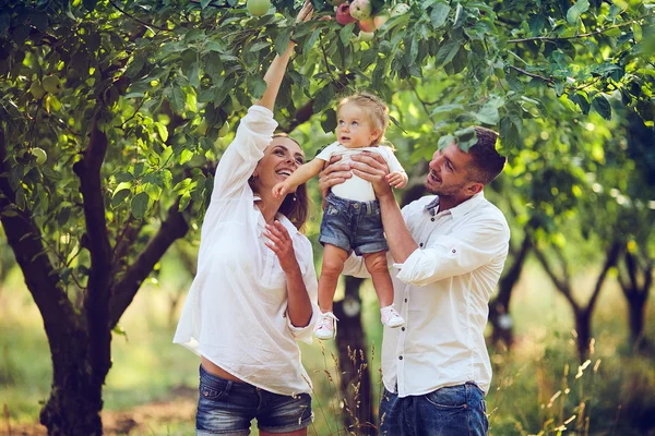 Aileler yaz bahçesinde bir çocukla — Stok fotoğraf