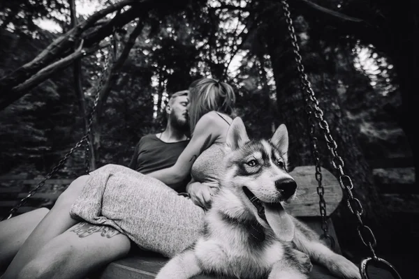 Beautiful couple together with dog on a swing — Stock Photo, Image