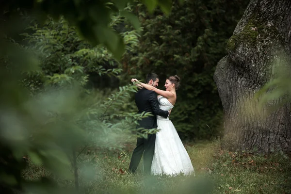 Schönes Hochzeitspaar posiert — Stockfoto