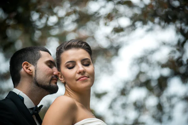 Brudgummen allomfattande bruden från baksidan — Stockfoto