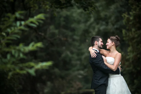 美しい結婚式のカップルのポーズ — ストック写真